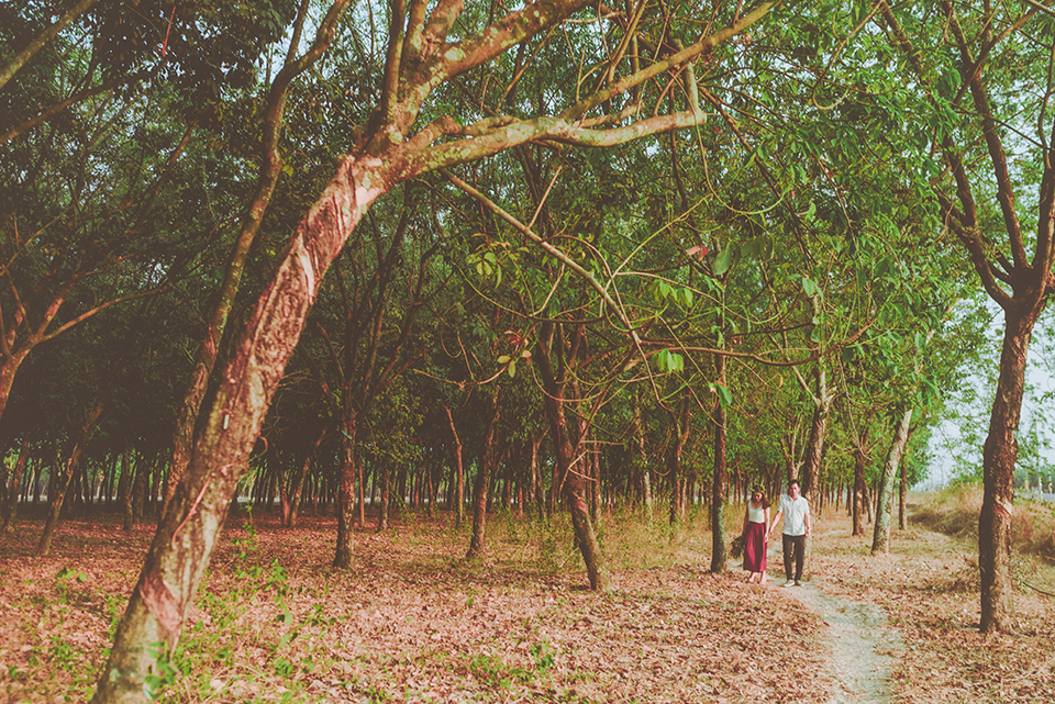 chụp hình cưới, chụp ảnh cưới, quay phim cưới, Duc Linh wedding photographer, Vietnam destination filmmaker, Saigon wedding photographer, Travel with Linh