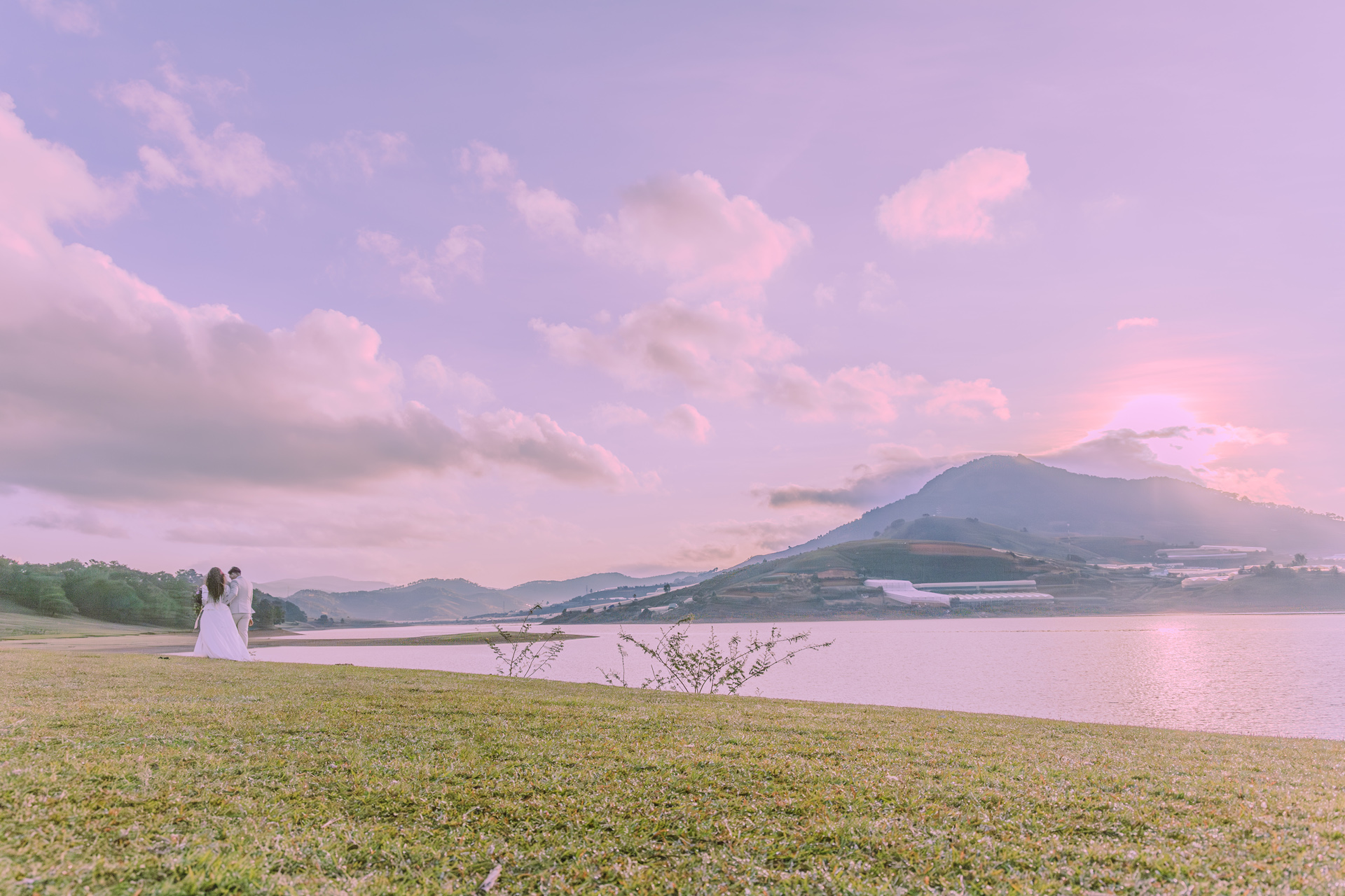film_vietnam_wedding_photographer_vietnam_wedding_film_phóng_sự_cưới_cay_thong_co_don_da_lat_elopement_wedding_photojournalism_quay_phim_cưới_fine_art_beauty_of_truth_khanh_hanh_03